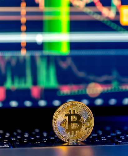 Wanterflux Informazioni sul Trading